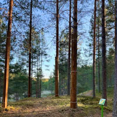 Väylä #2