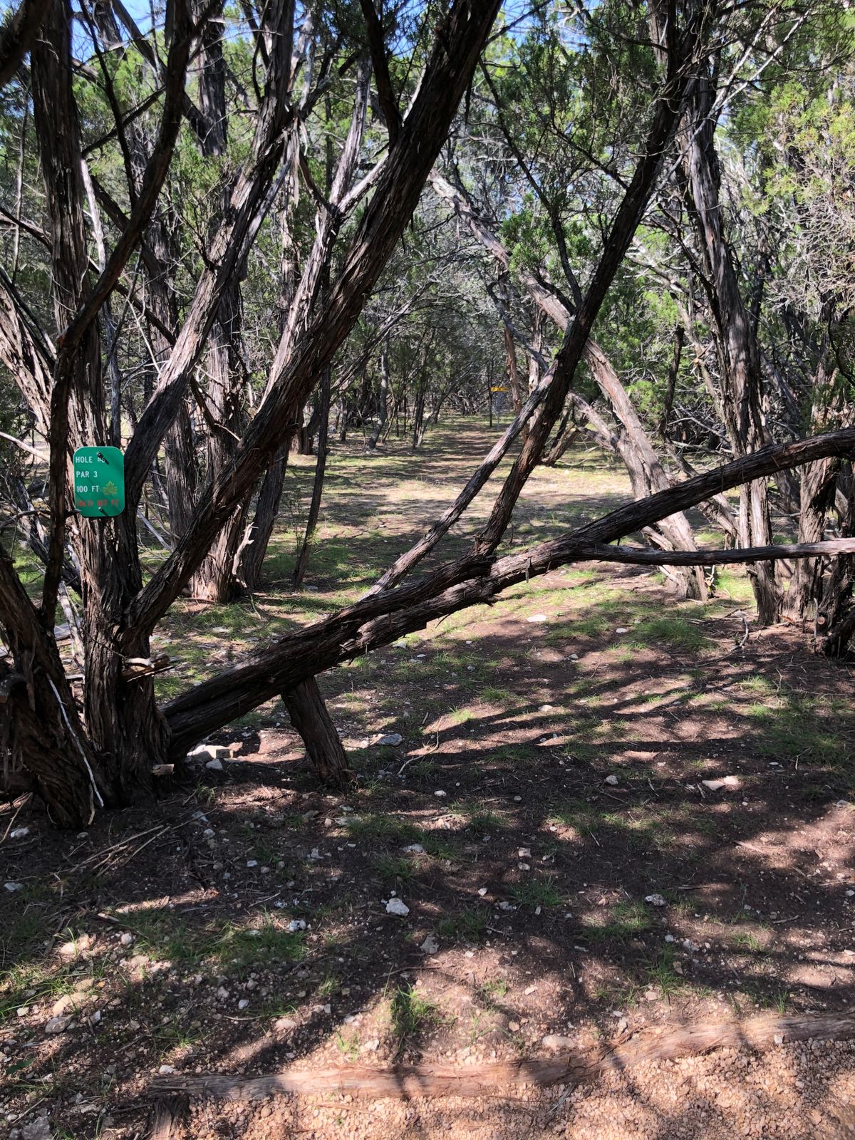 Hole 6