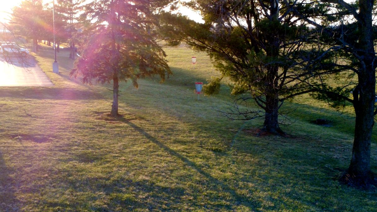 Number 9 through the trees