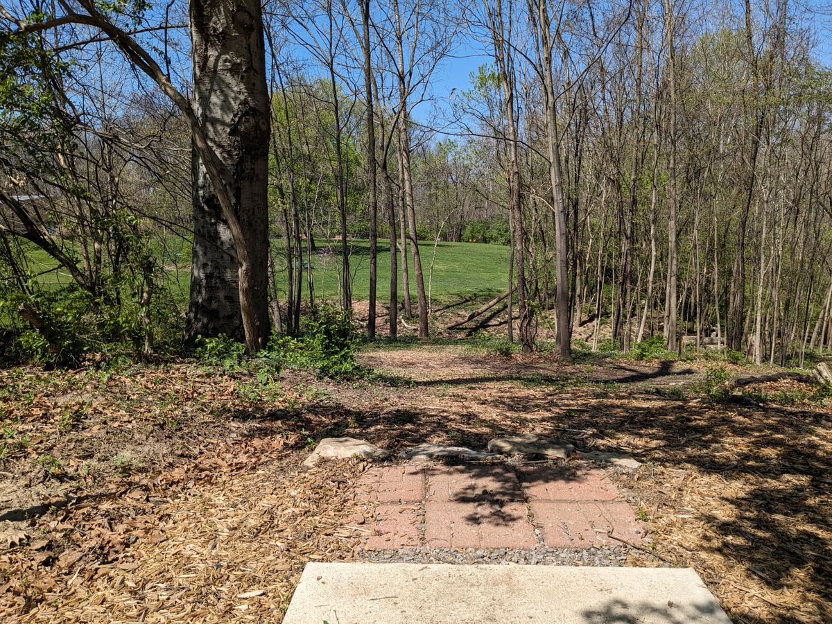 #15 from Tee Pad