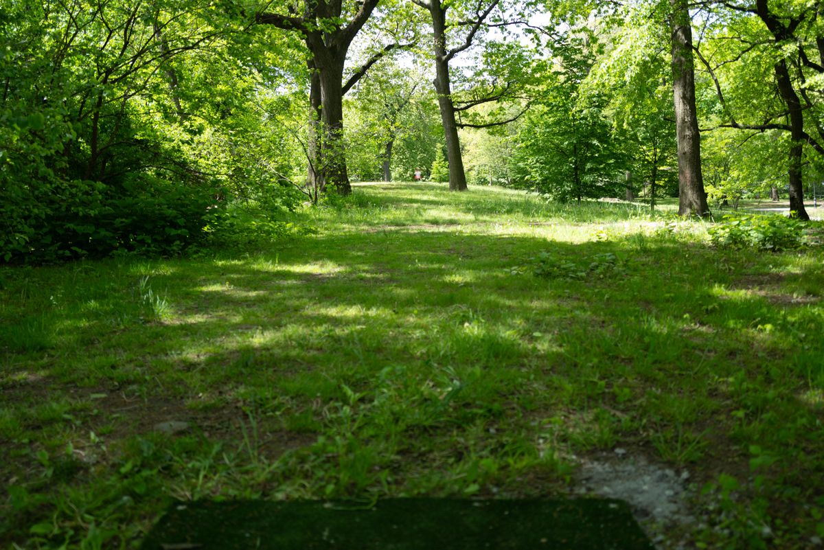 Hole 7 from teepad