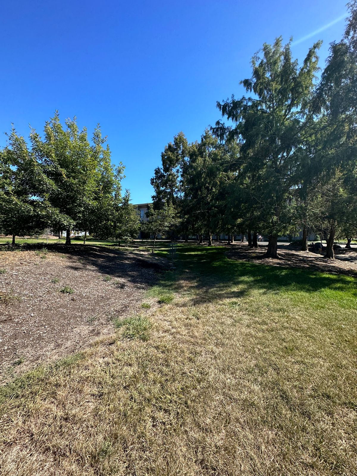 Hole 1 fairway