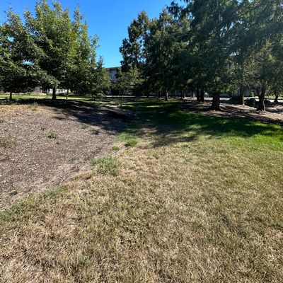 Hole 1 fairway