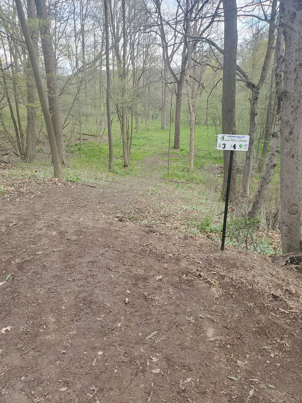 Hole 3 tee