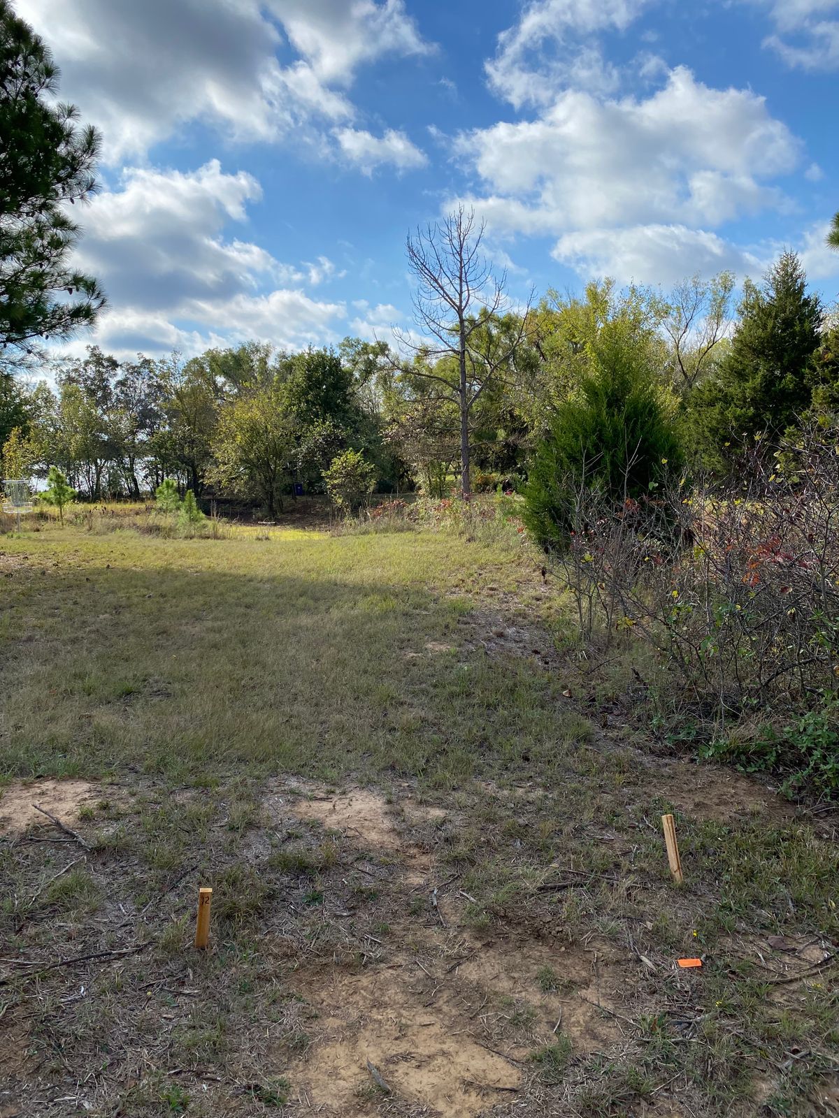 Hole 12 Pad