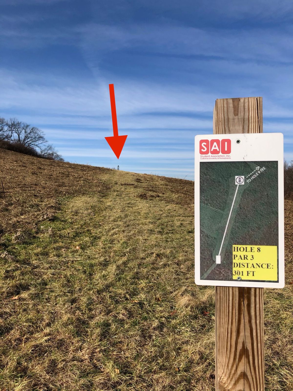 Hole 8 tee