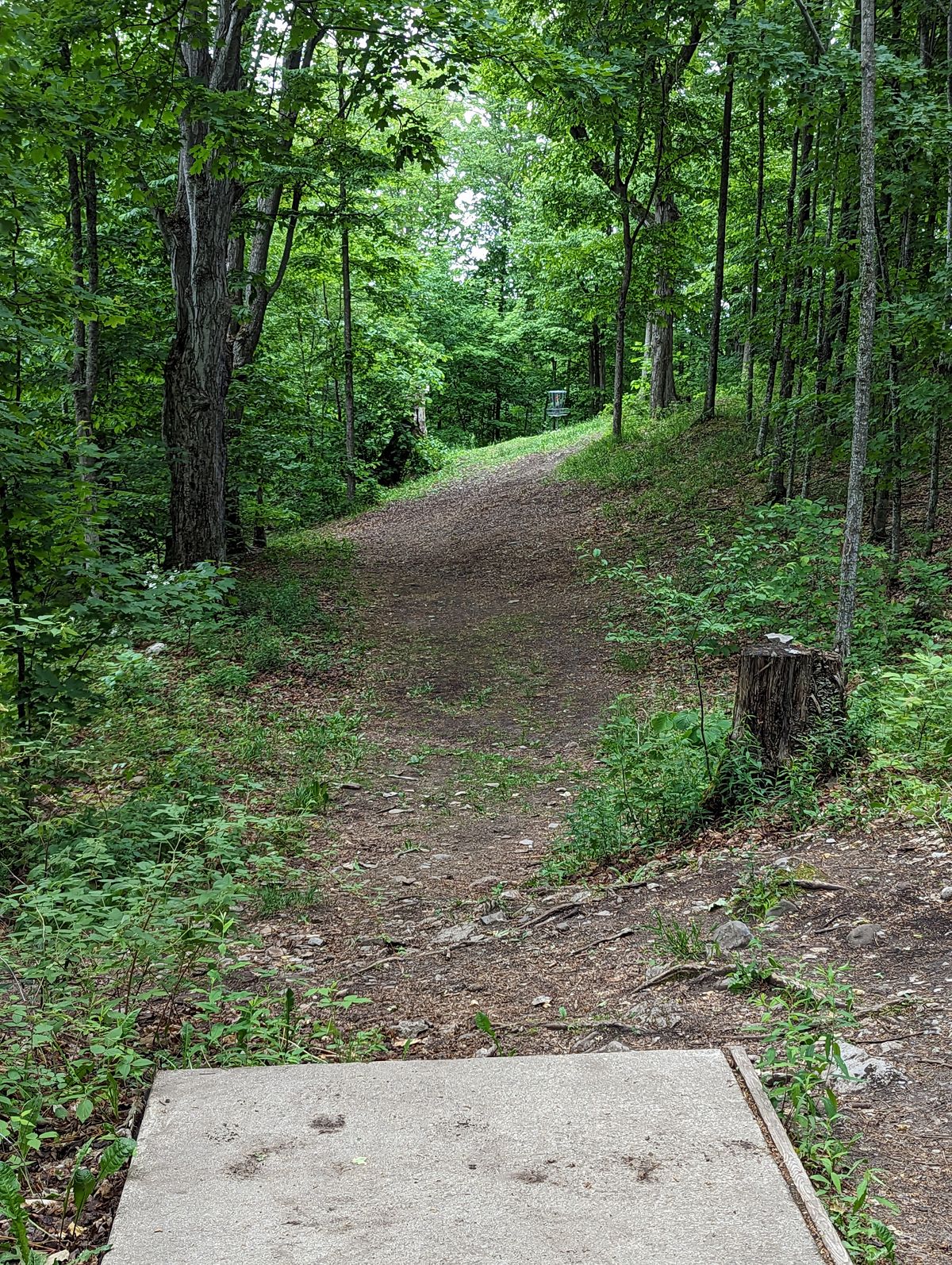 Hole 15