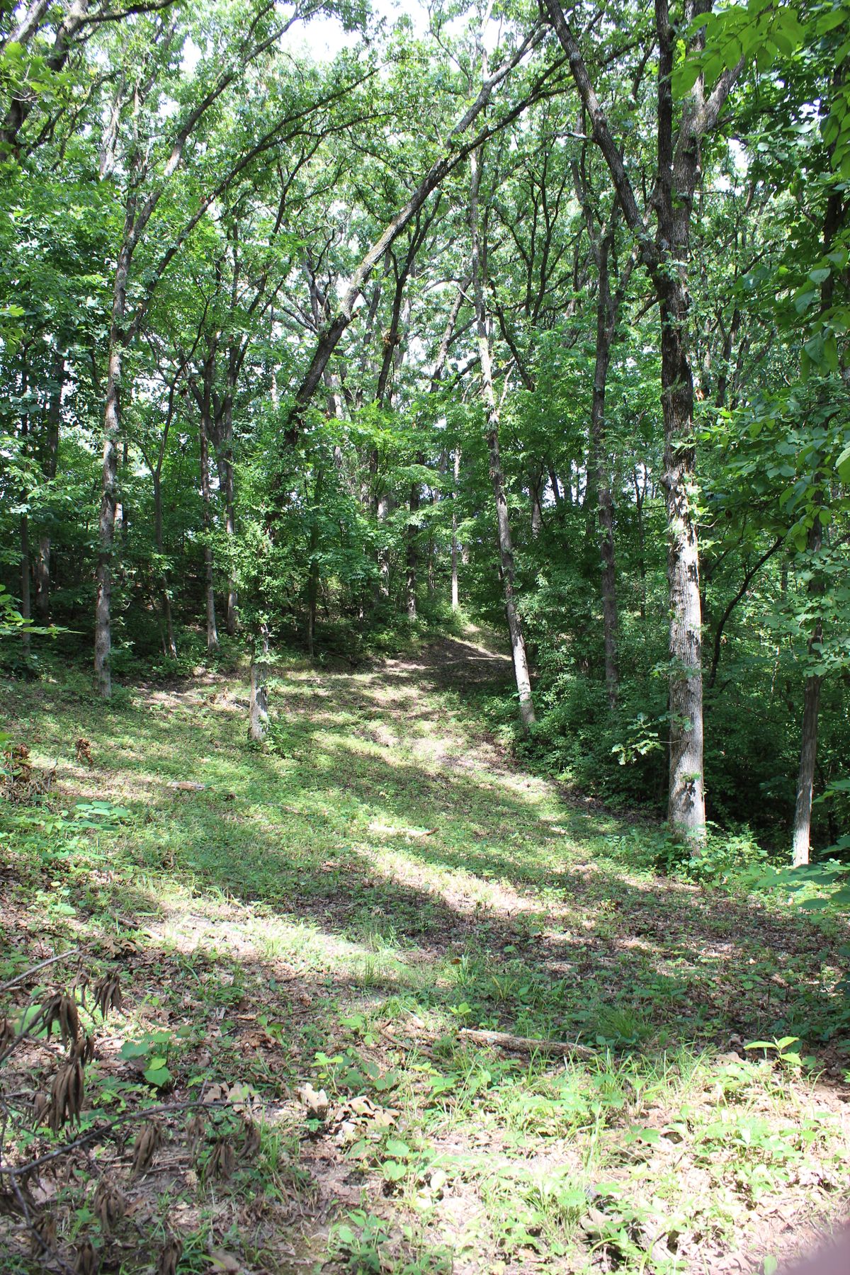 Hole 7 (Fairway 2)