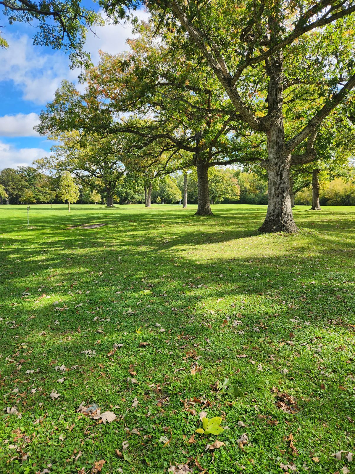 Hole 11 long tee