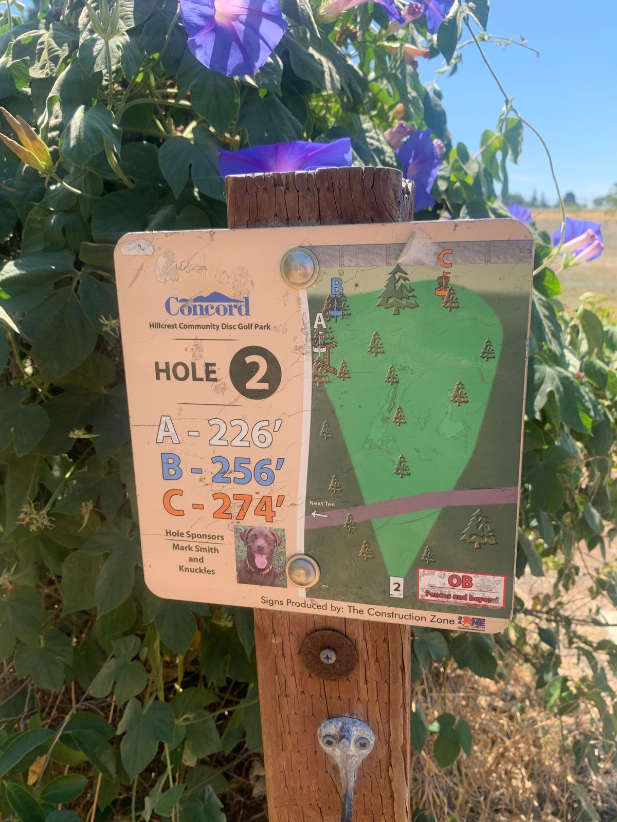 Multiple pin locations, only B was set up here on 8/18. Mixed along the rest of the course.