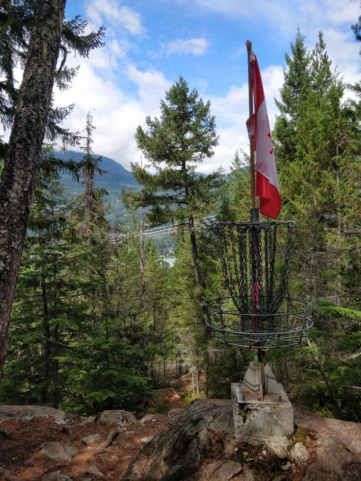 Hole 16, peek a boo emerald green lake view threw (pun intended) the trees