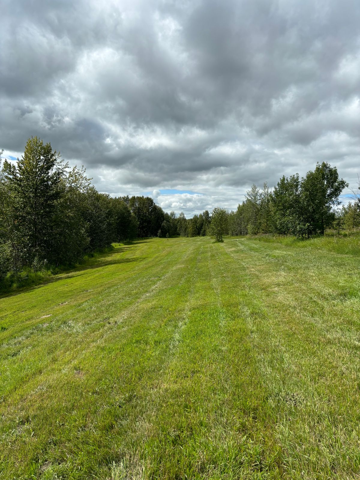 East 9 Fairway
