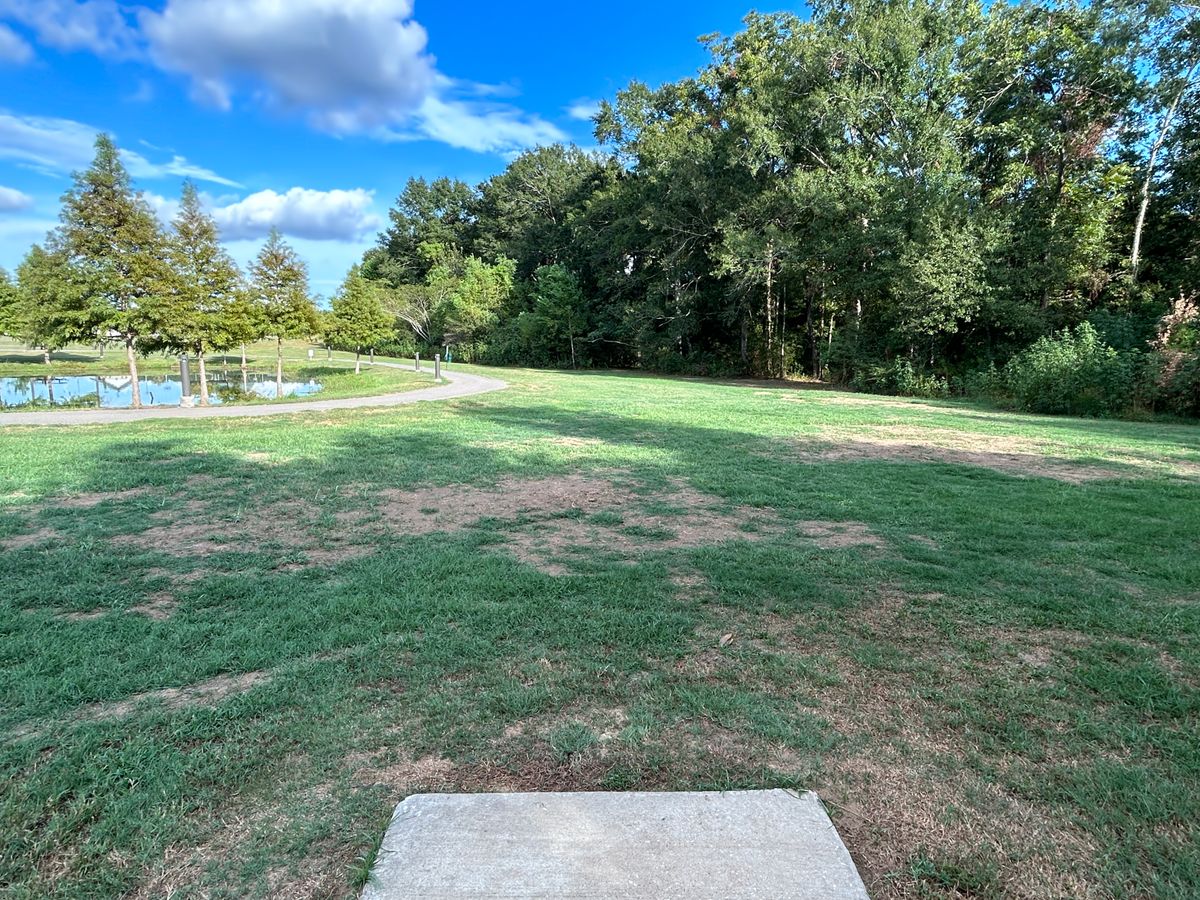 Hole 4 Fairway (Red)