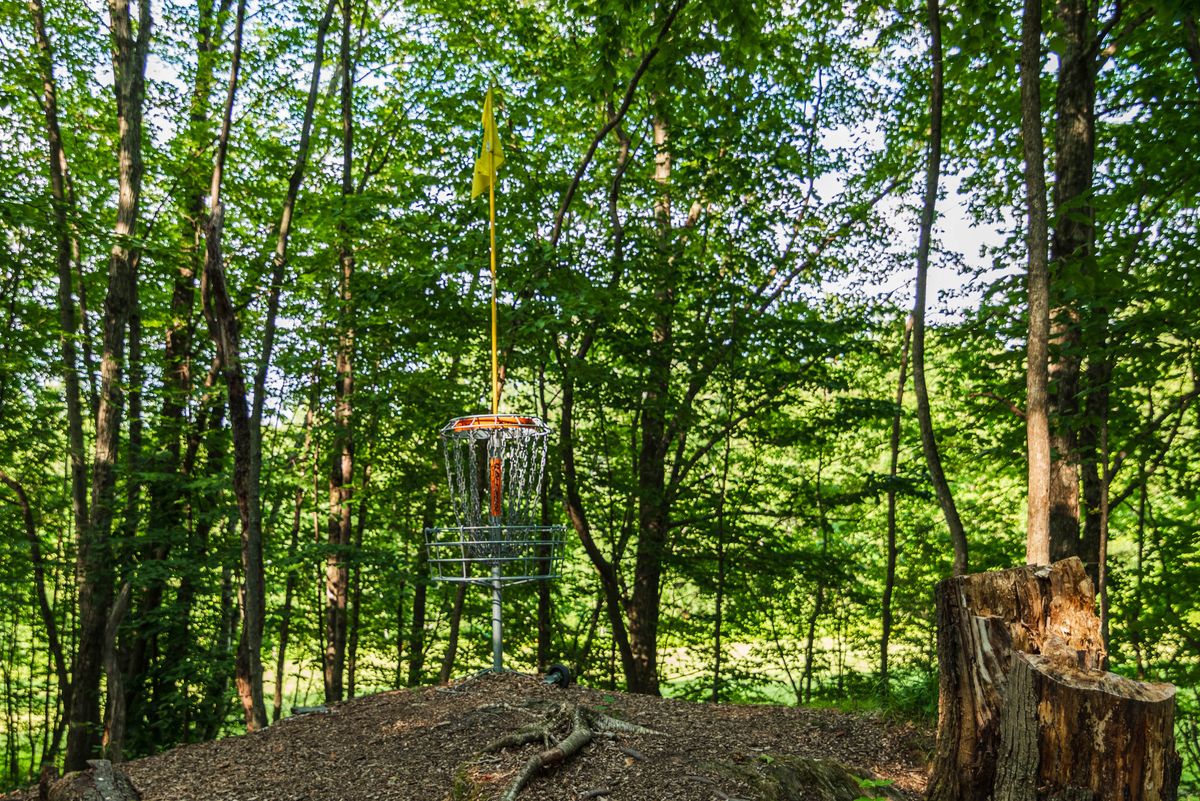 Hole 14 basket