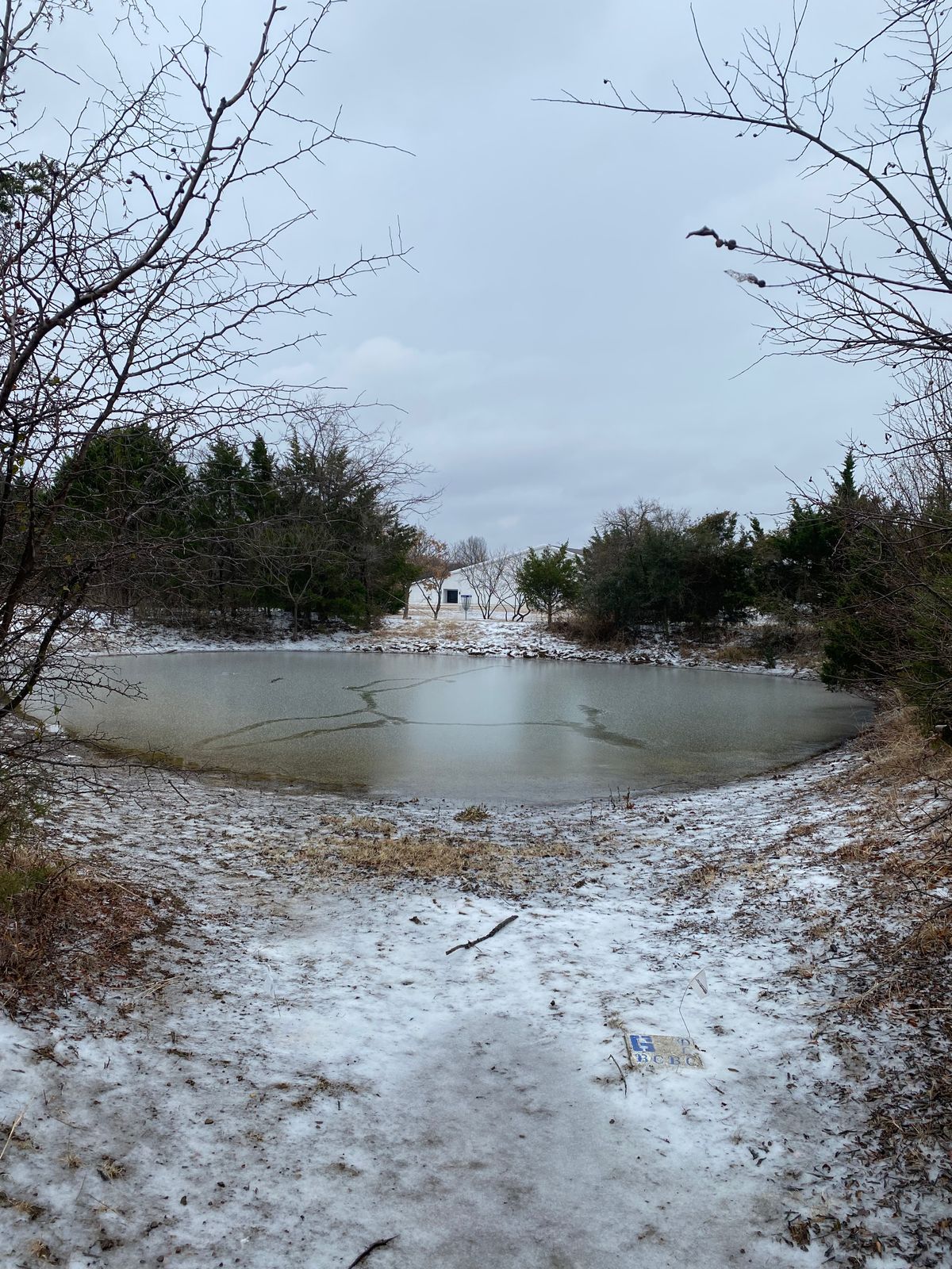 Hole 6 white tee box