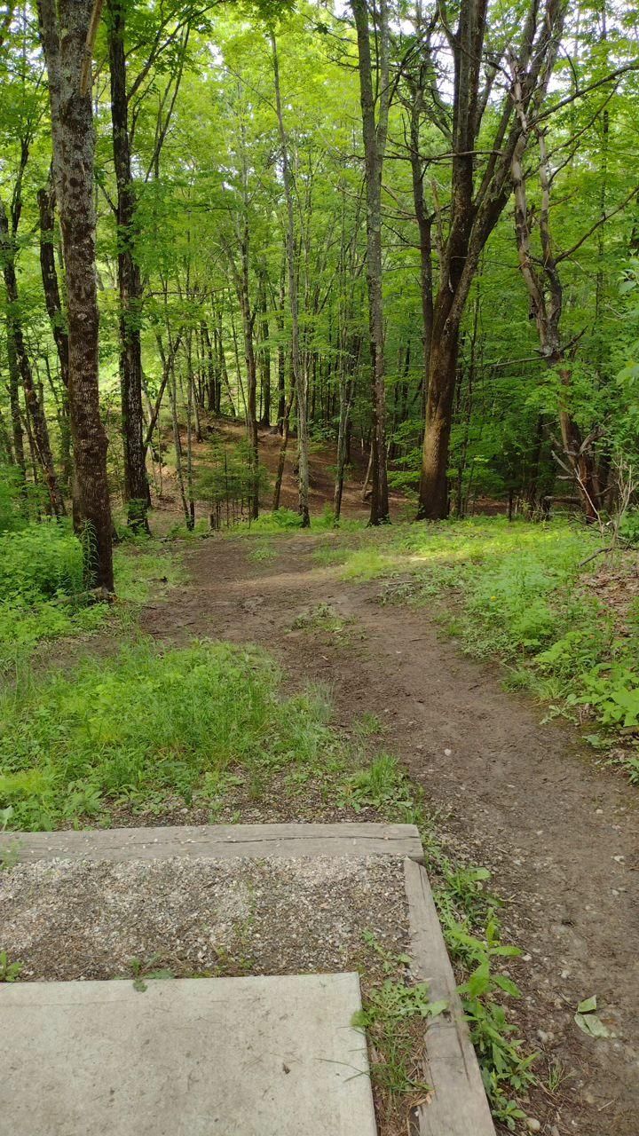 Modified North Course, Hole 3 tee pad, June 2023