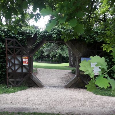 Hole 2.
The basket is also used for holes 4 and 12