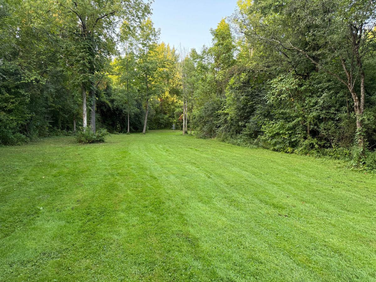 Hole 2 Fairway