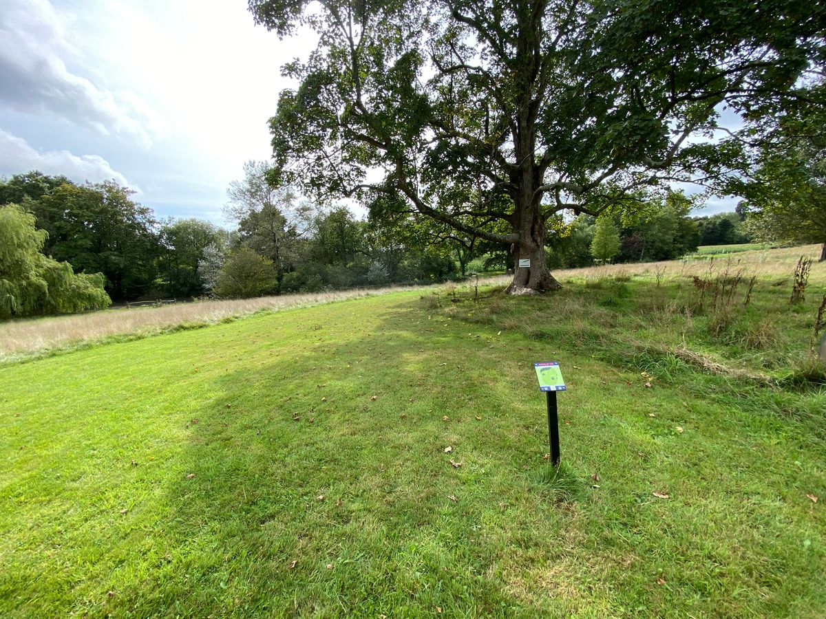 Hole 12 short tee