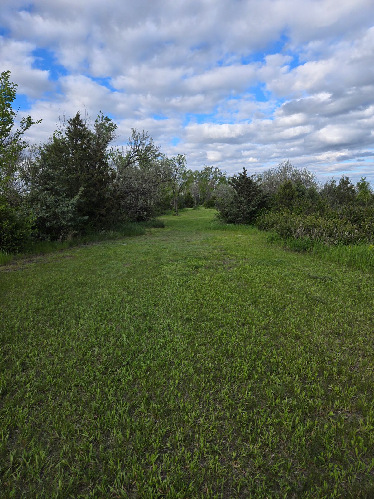Hole 8