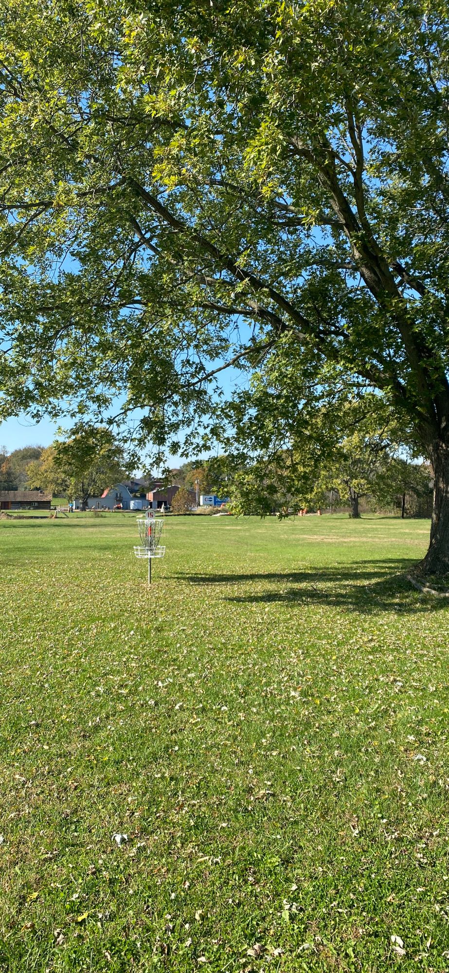 Hole 15 green