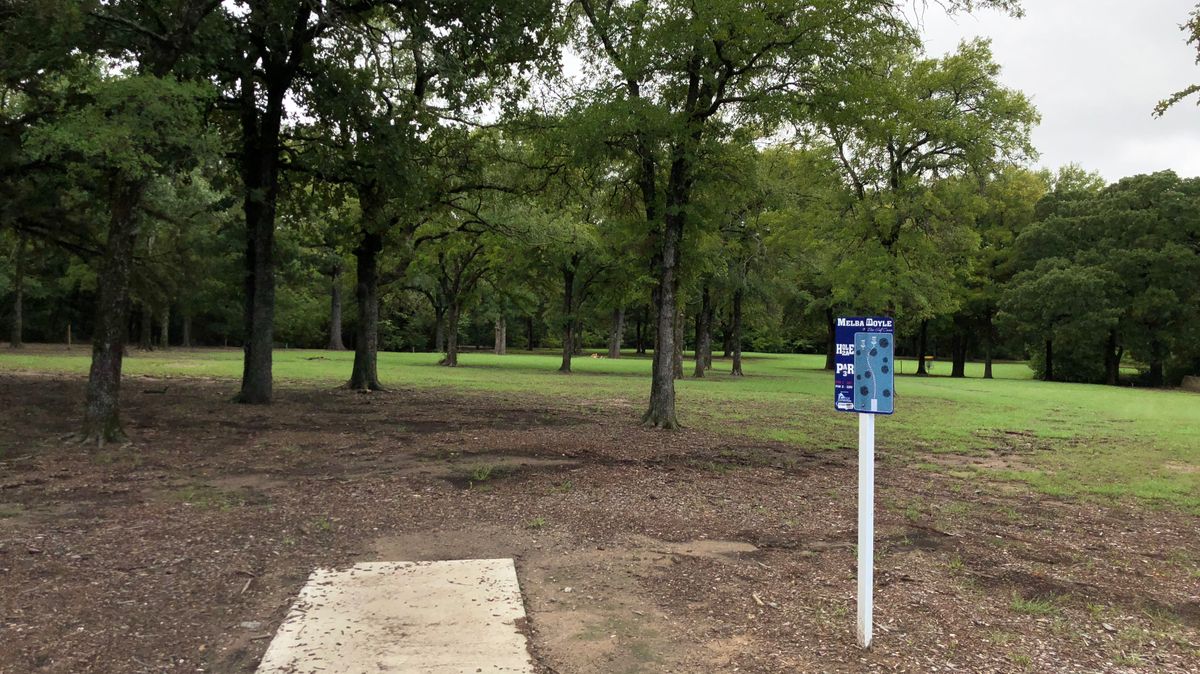 Hole 2a
