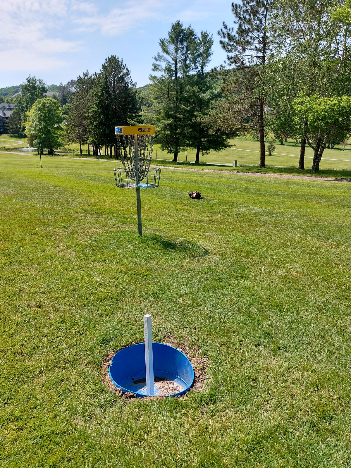 🥏⚽️🥏⚽️🥏⚽️🥏⚽️ putting on hole 9.