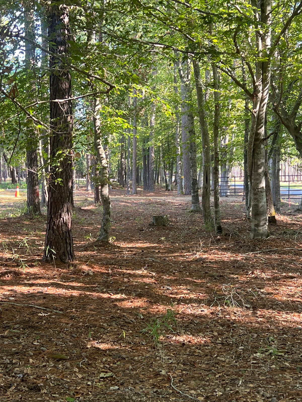 Hole 1. Nice easy one to start the round