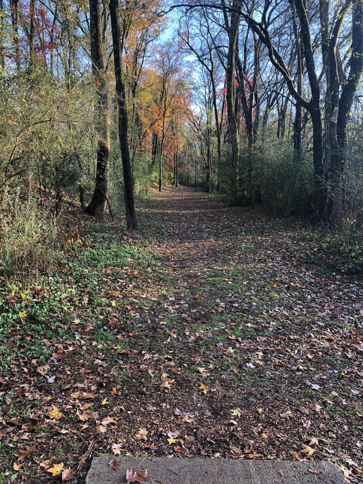 Hole 13