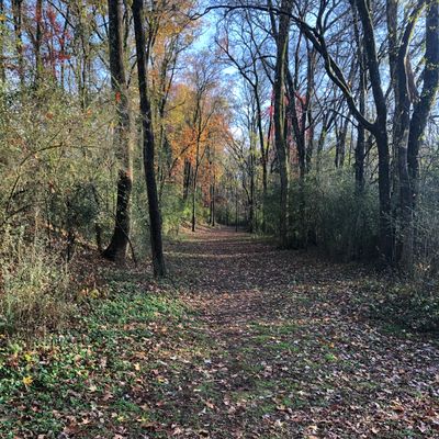 Hole 13