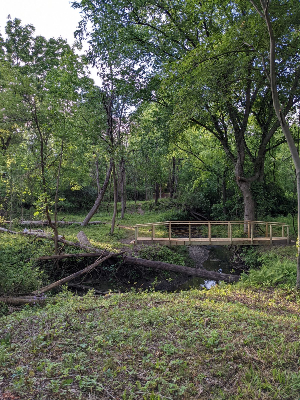 Bridge Hole 9