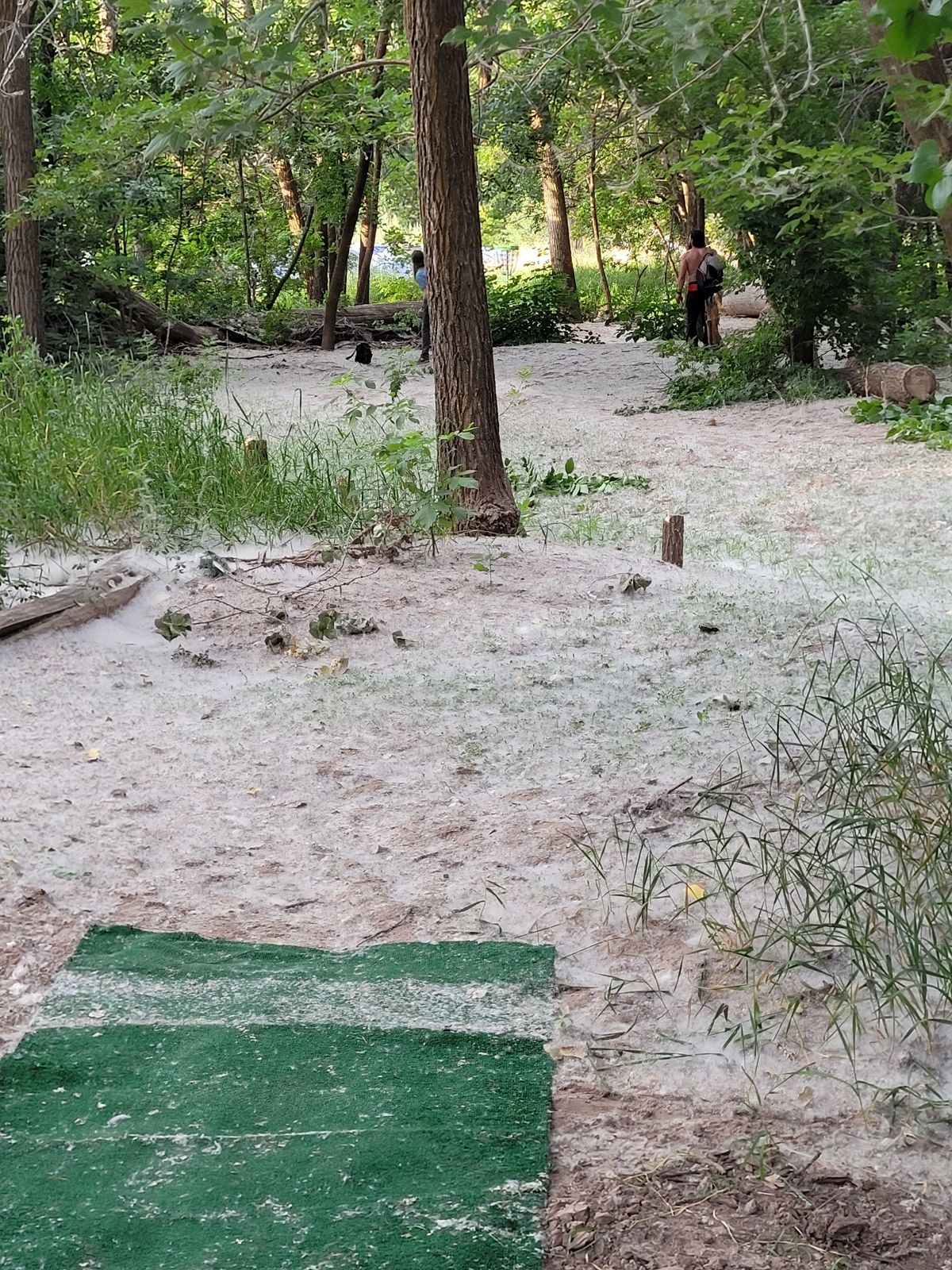 Hole #4 teepad