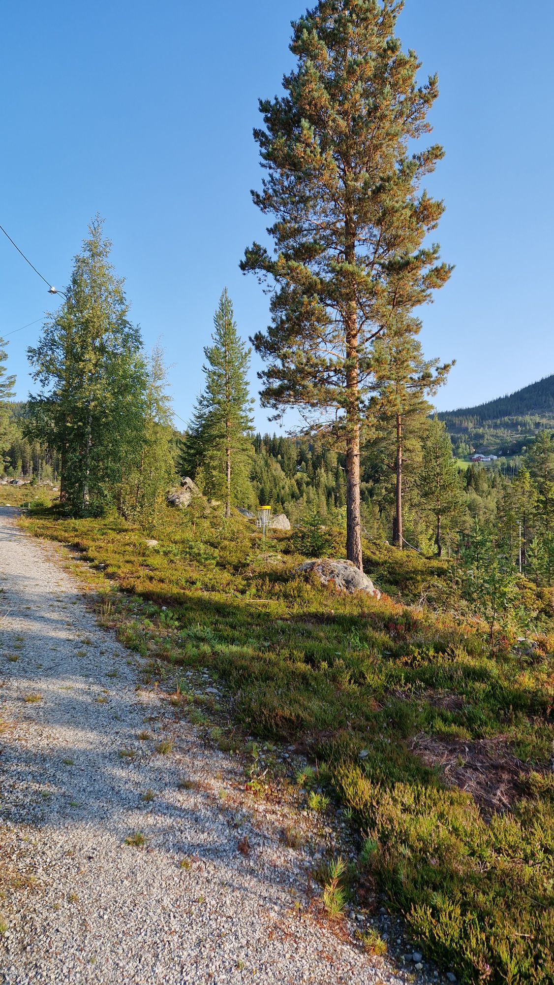 Mot kurv hull 11