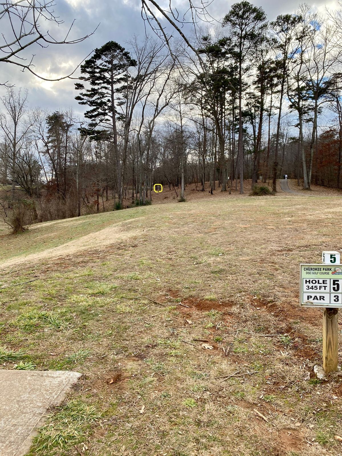 Hole 5 tee