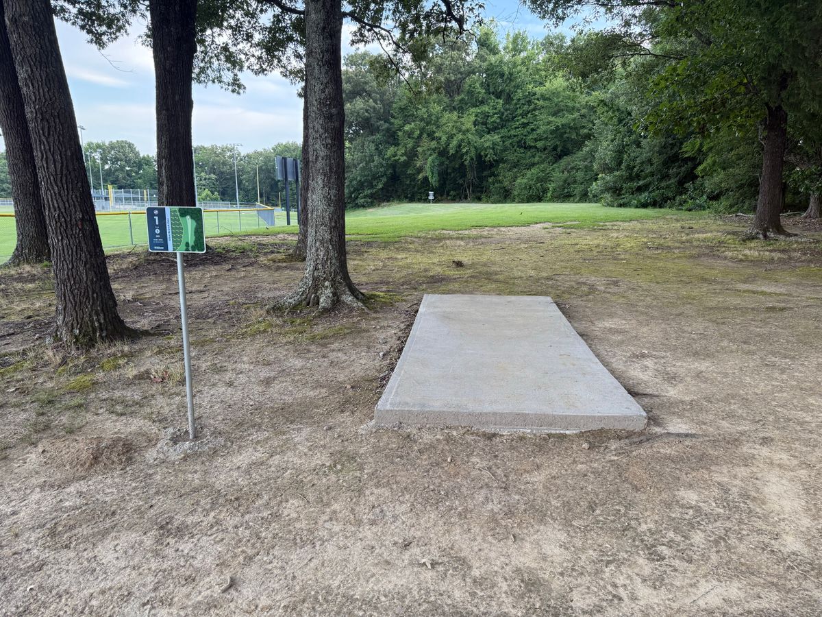 Hole #1
