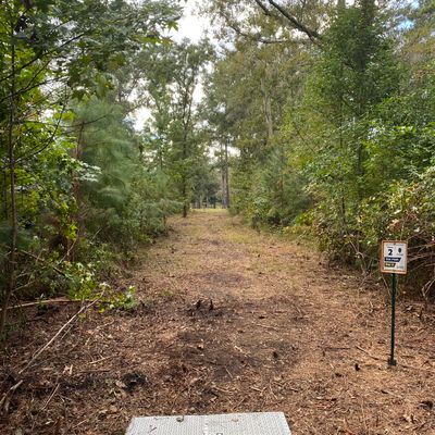 New hole 2