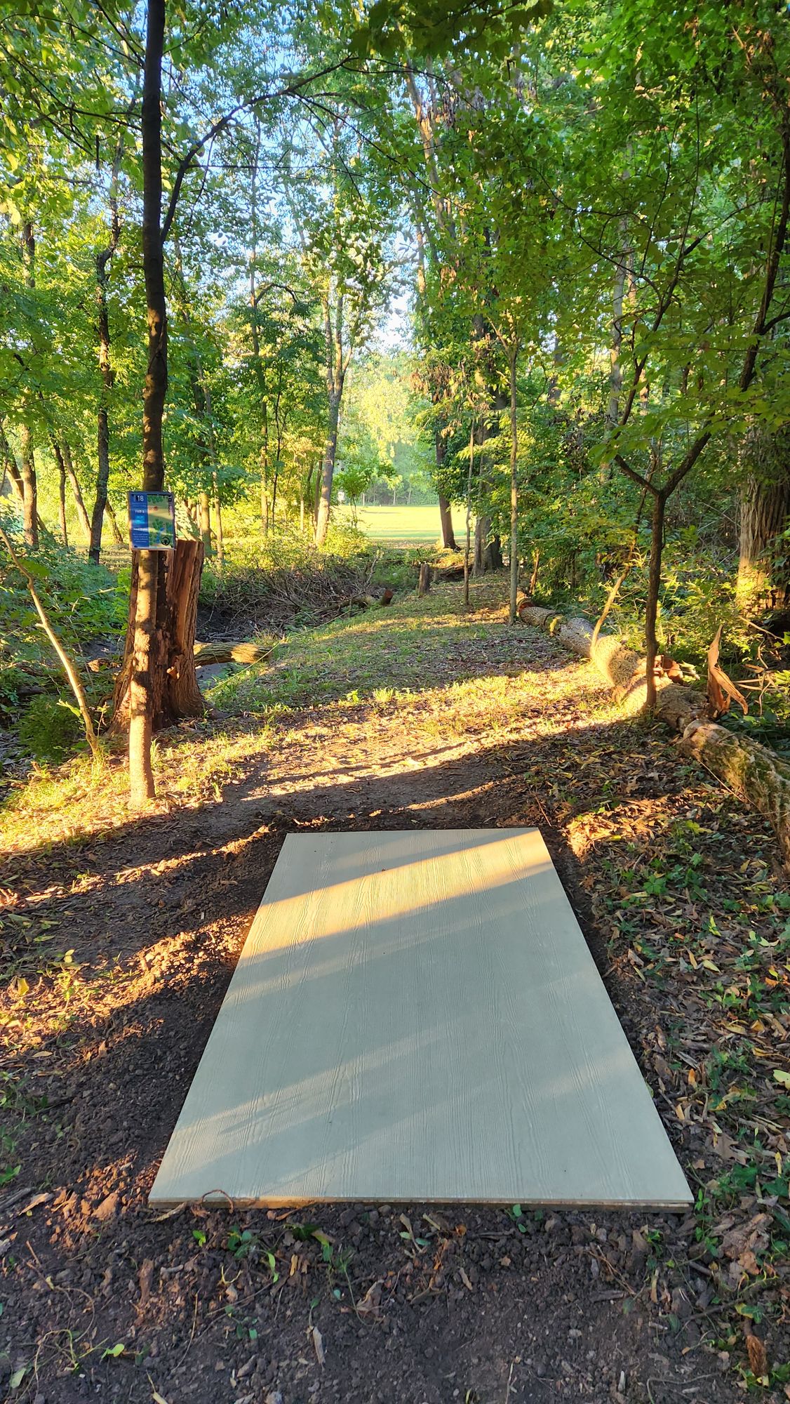 Hole 18 blue tee
