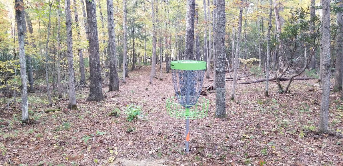Hole 3 basket to tee