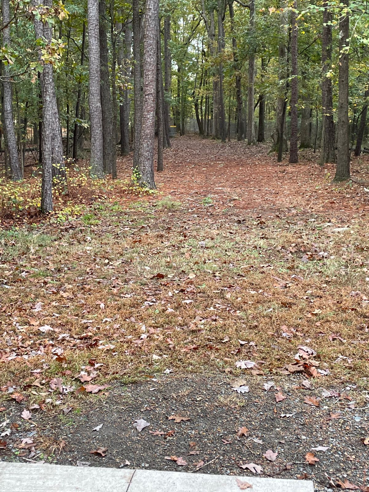 Hole 1 in the fall