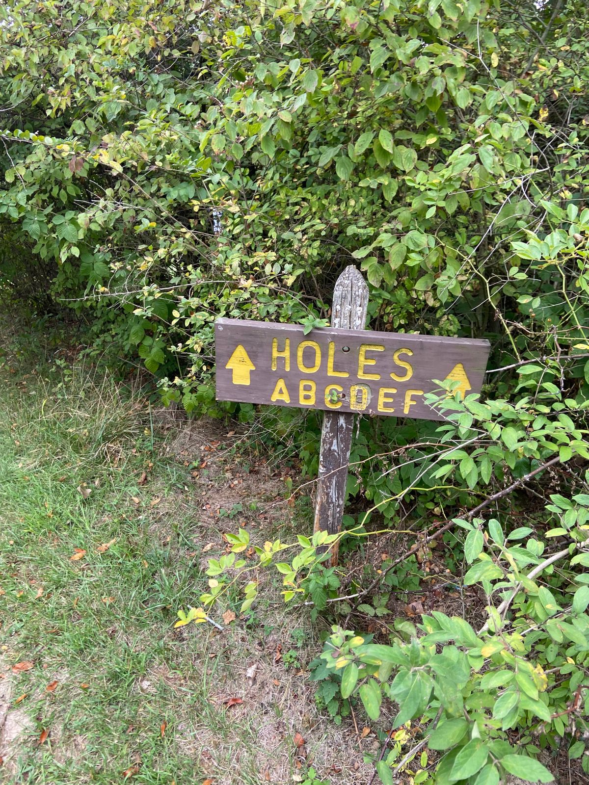 Holes A-F