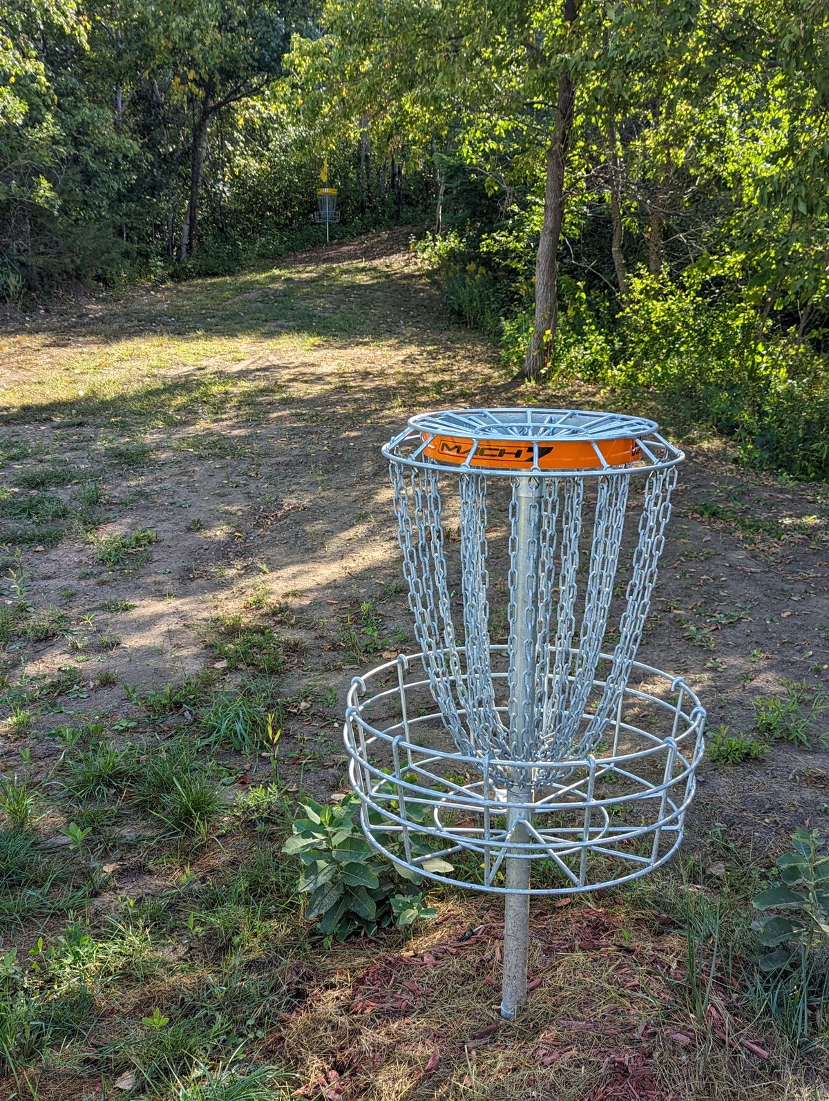 Short Basket
