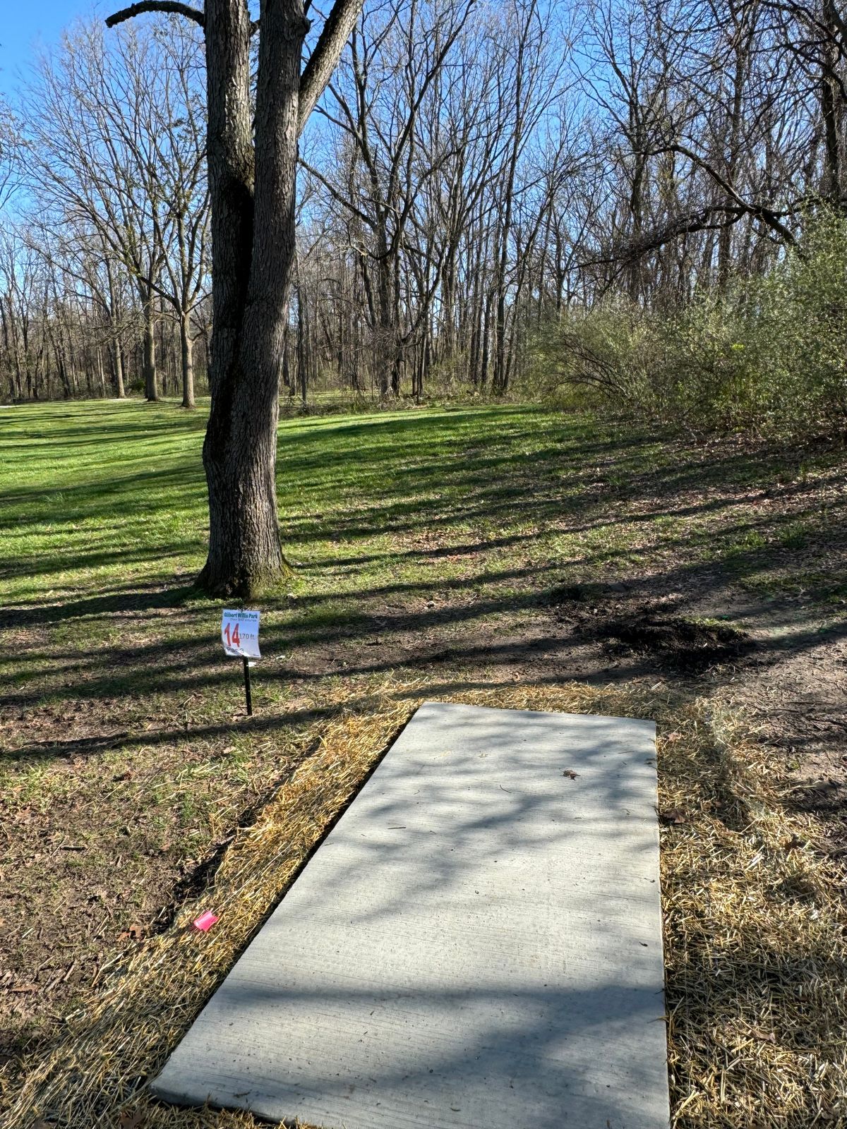 Hole 14 Short Tee