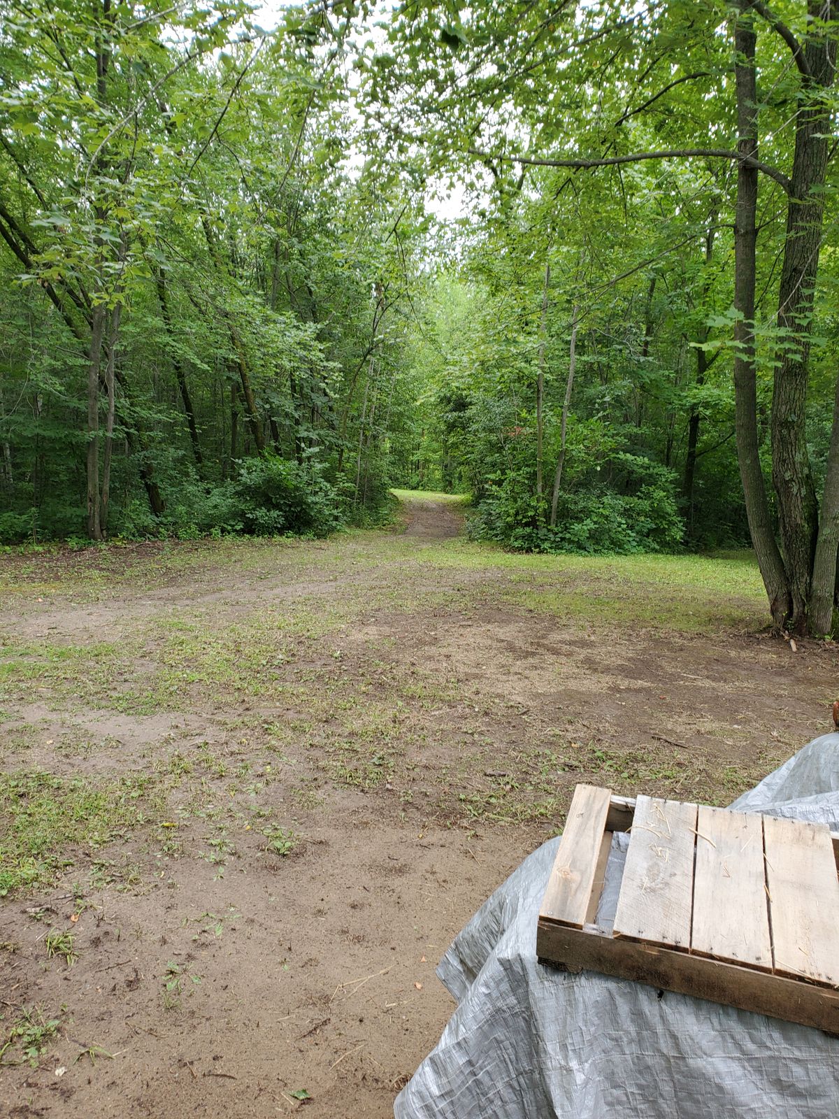 Tee 3