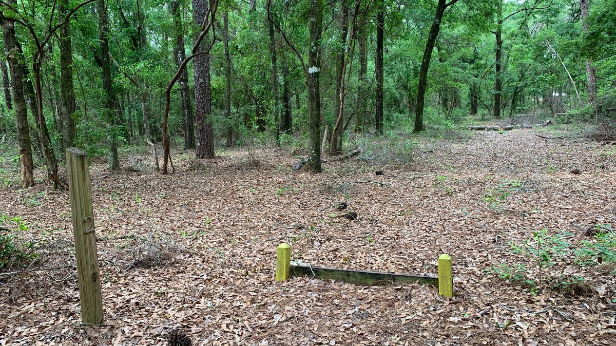 Hole 2