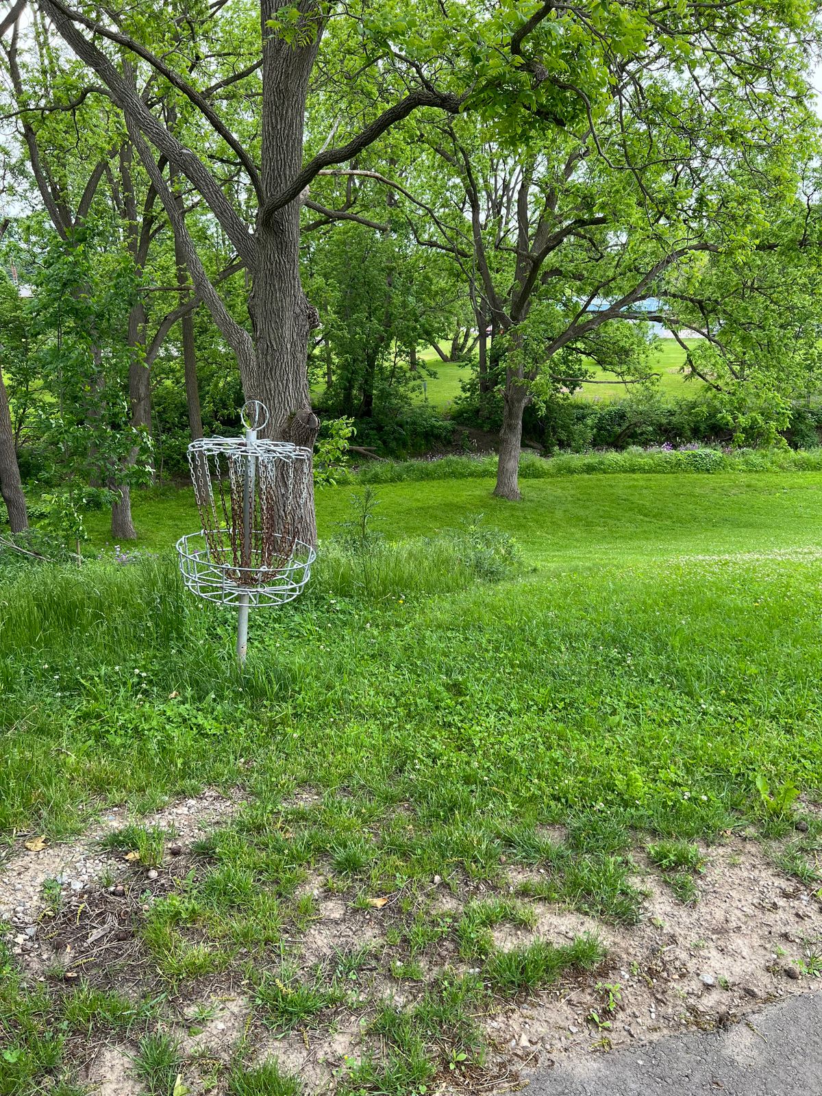 Hole 6 basket