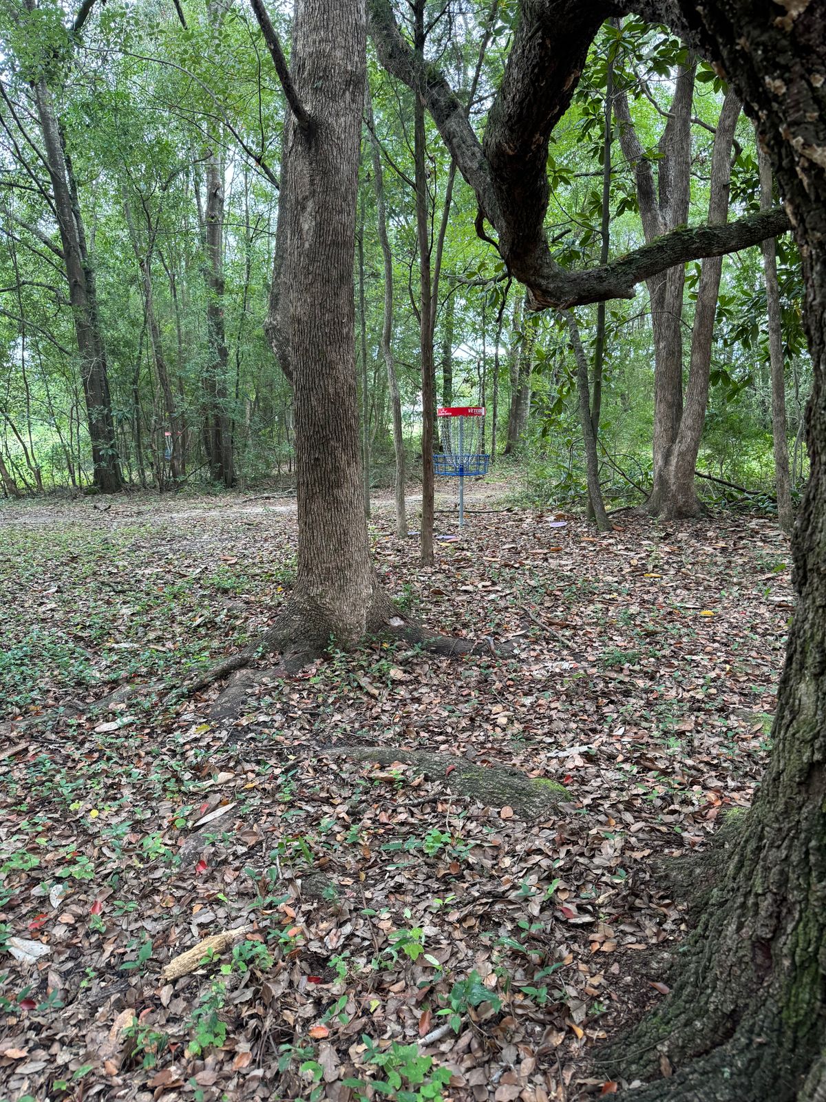 Hole 12 basket