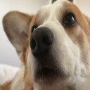 User avatar image