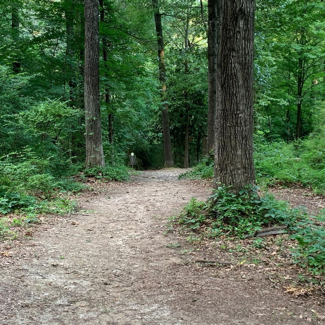 Fairway of Hole 7