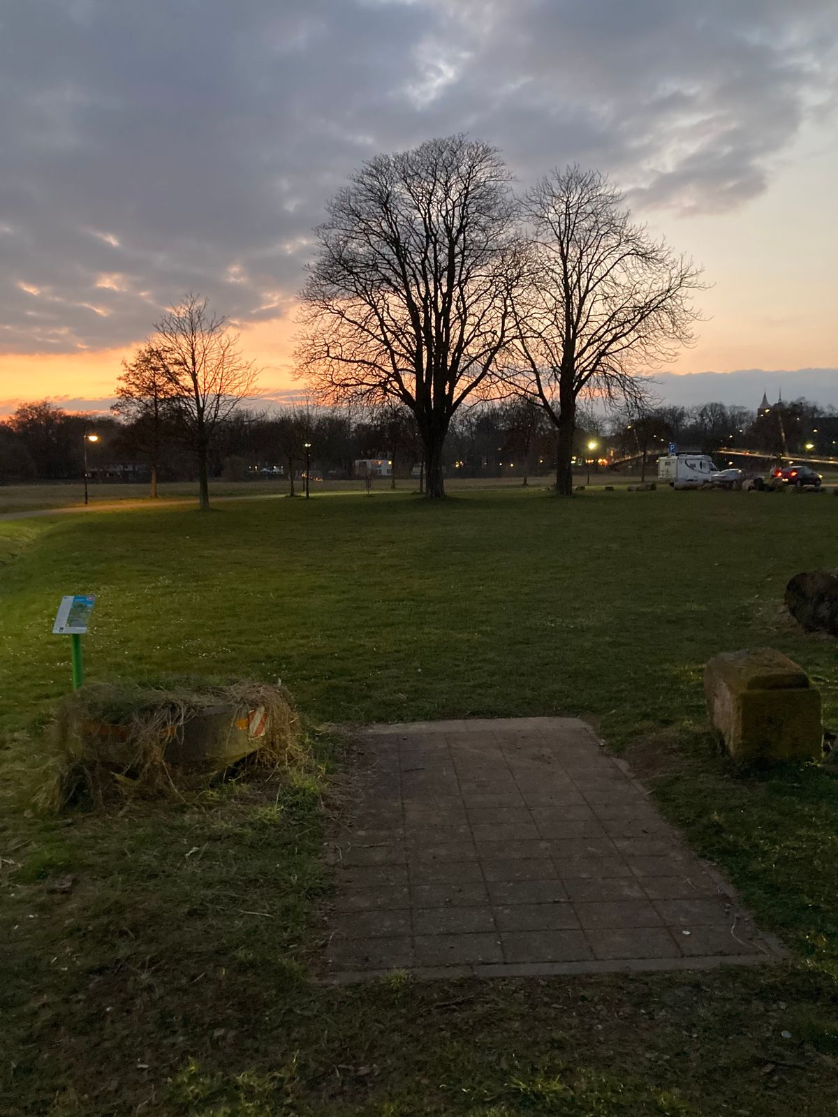 Tee 6