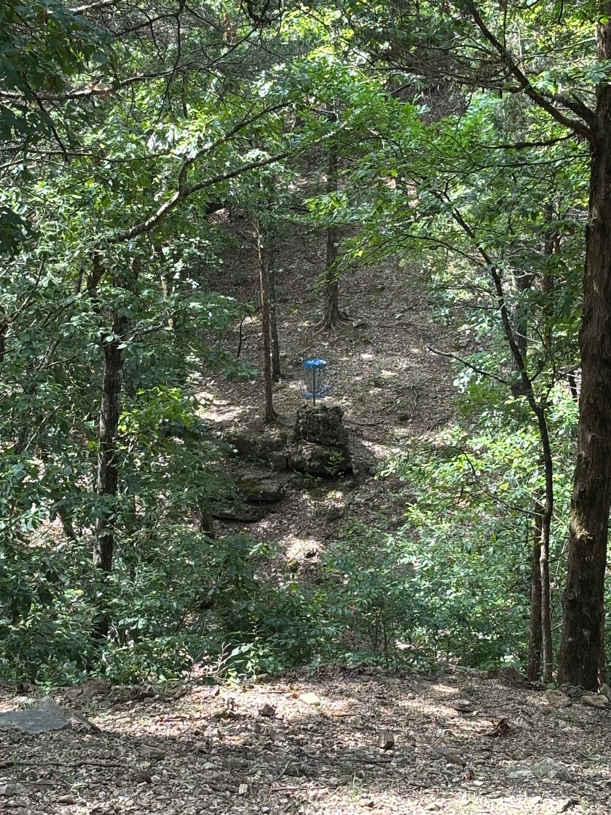 Basket on the rocks